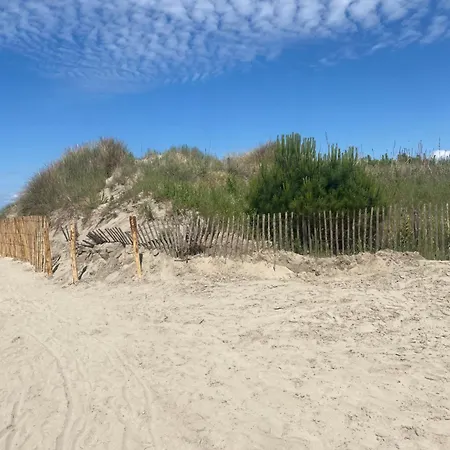 Appartement Pieds Dans L Eau En Camargue